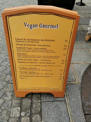  at Disneyland - The Gourmet Vegan in Chessy