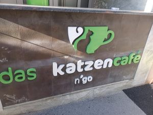  at Cat'n'Coffee in Klagenfurt