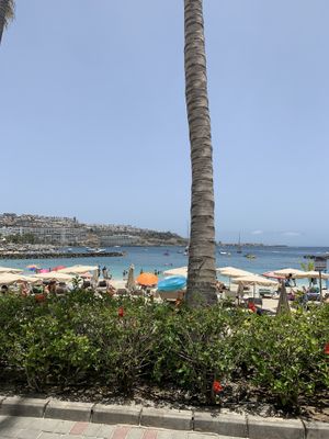 View from outside dining  at Chapter One in Gran Canaria
