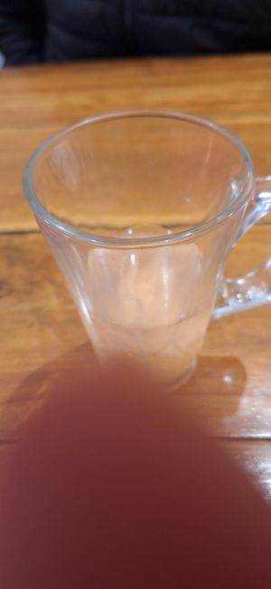  at Cafe Festa in New Delhi