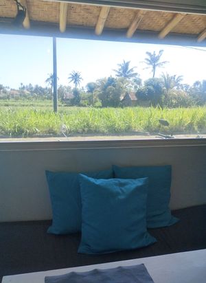  at Melon Café in Amed