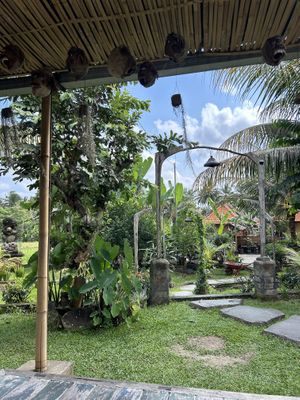 Beautiful location  at Sweet Orange in Ubud