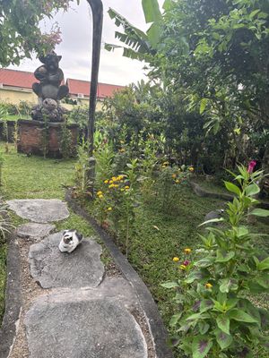 Beautiful garden  at Sweet Orange in Ubud