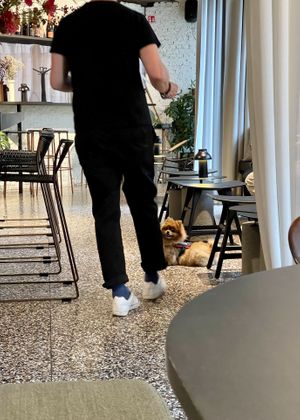   at Camionette in Antwerpen