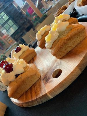  at The Tree Rooms in Peterlee