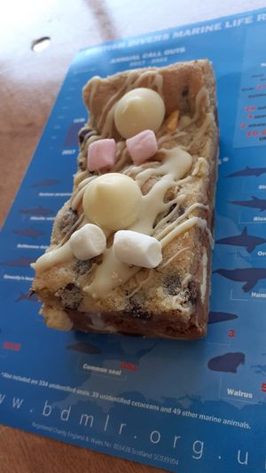Biscoff rocky road at The Tree Rooms in Peterlee