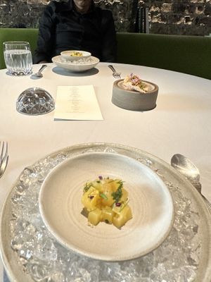 Beets  at Babel Budapest in Budapest