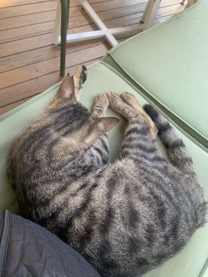   at Ethique Plant-based in Istanbul