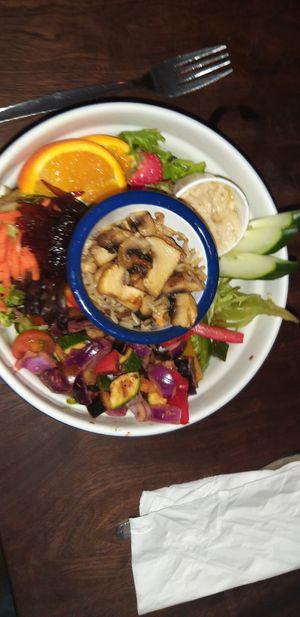 Vegan salad bowl at Caffi Maes in Gwynedd