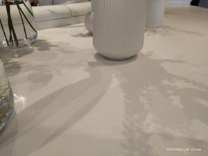 Reflection from indoor plants #Veganuary at iVegan 爱素 - Katong in Central Singapore