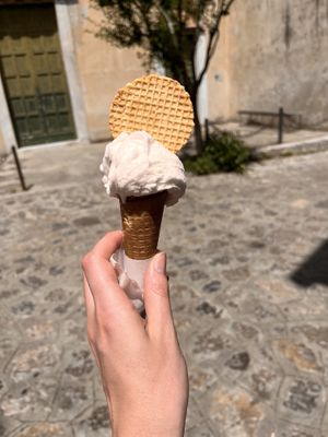 Lemon (cones are vegan!)   at Baffone Gelateria Artigianale in Ravello