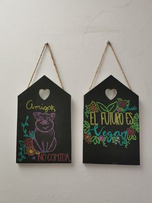  at Musabbaha Vegan Bakery in Puebla