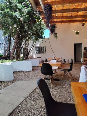 El patio at Musabbaha Vegan Bakery in Puebla