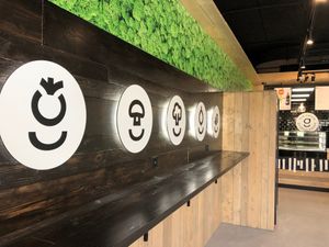  at Greenrebel in The Hague