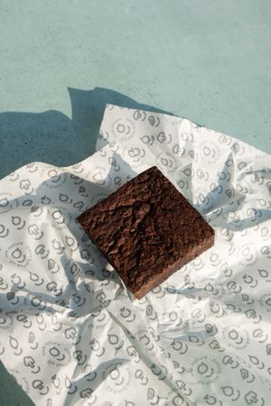 Rebl' Brownie at Greenrebel in The Hague