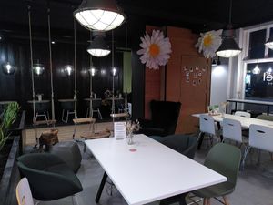 Cosy sitting area  including swings at Greenrebel in The Hague