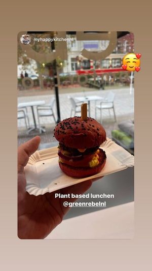 A mini Dutch Dandy at Greenrebel in The Hague