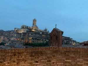  at San Domenico in Siena