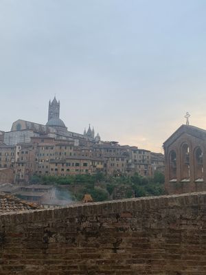  at San Domenico in Siena