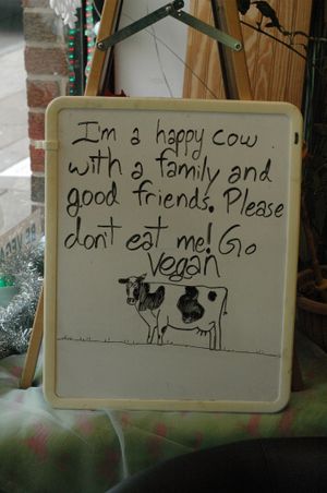 Decorations at Vegan Tree. Photo taken 2013. at Vegan Tree in Philadelphia