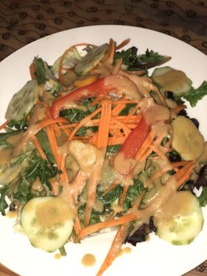 Rainbow salad  at Vegan Tree in Philadelphia