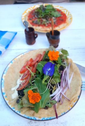 Quecota de hongos at Nena Nena in Valladolid