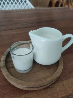 Probiotic shot at Pure Vegan Heaven - Thong Sala in Koh Phangan