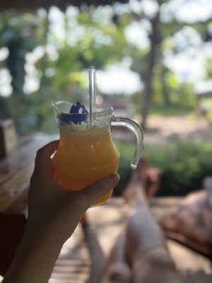   at Pure Vegan Heaven - Thong Sala in Koh Phangan