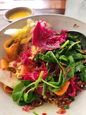  at The Little Red Fox Espresso in Siem Reap