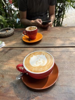   at The Little Red Fox Espresso in Siem Reap