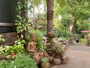 Gardens  at Lane 32 in Maleny