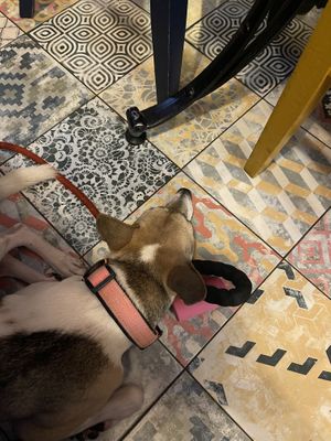   at Saïgon Cà Phê in Reims