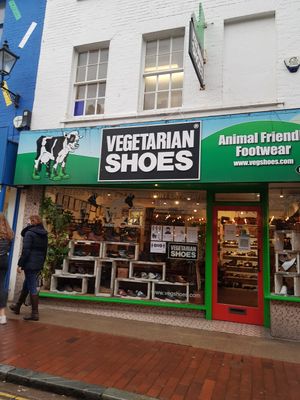 Outside at Vegetarian Shoes in Brighton