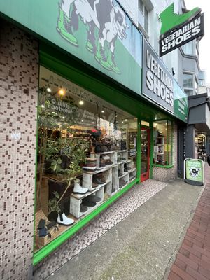   at Vegetarian Shoes in Brighton