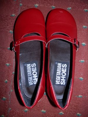 Ally Sandals purchased from Vegetarian Shoes. at Vegetarian Shoes in Brighton