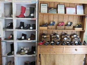 Vegetarian shoes
 at Vegetarian Shoes in Brighton