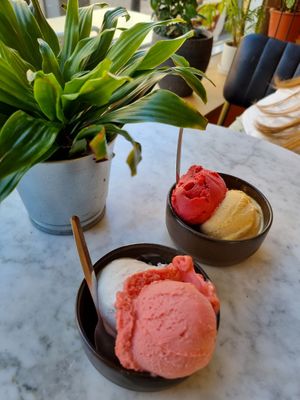  at Piet Artisans of Flavour in The Hague