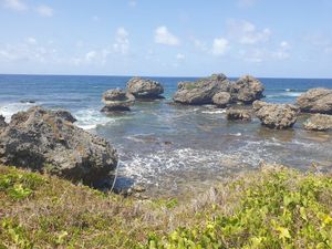 View Across the sea from the path down through the valley at ECO Lifestyle & Lodge in Bathsheba
