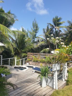Salt water pools at ECO Lifestyle & Lodge in Bathsheba