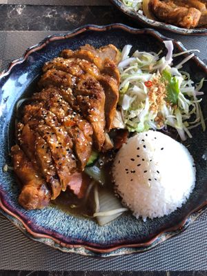 Vegan Duck, Rice, Vegetables & Salad at Asia House Lindeneck in Forst