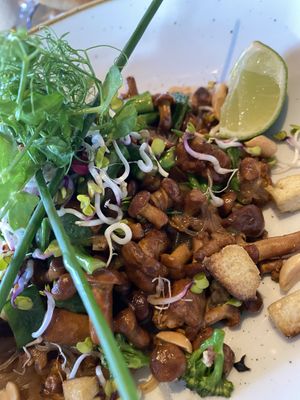 Frische Pfifferlinge mit Räucher Tofu  at Huk's in Aschberg