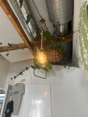   at Eh Wurst Vegane Würstelbar in Vienna