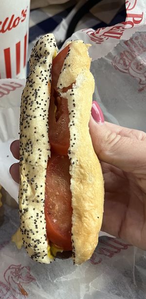 build your own garden dog: ketchup, mustard, tomato only!  at Portillo's in Chicago