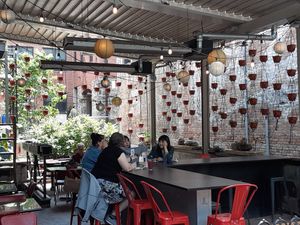  at Rosetta's Kitchen in Asheville