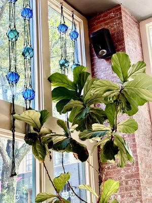   at Rosetta's Kitchen in Asheville