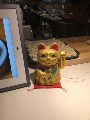 Meow   at The Rogue Panda in Brooklyn