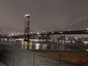 Beautiful view   at The Rogue Panda in Brooklyn