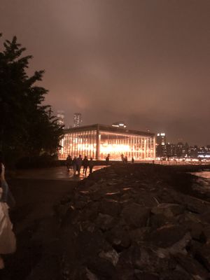 Carrousel  at The Rogue Panda in Brooklyn