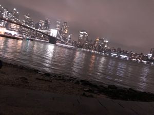 Brooklyn park   at The Rogue Panda in Brooklyn