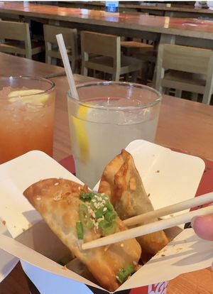   at The Rogue Panda in Brooklyn